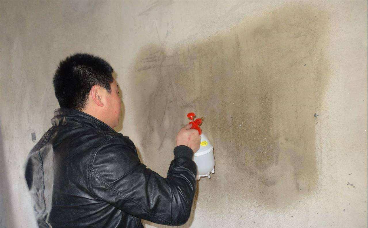 墙面发霉怎么办(墙面发霉怎么处理)插图3