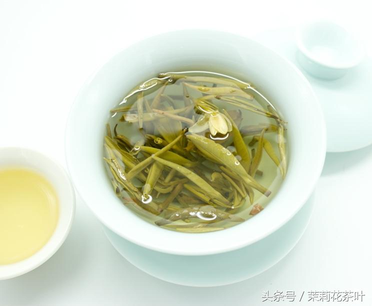 茉莉花茶是绿茶吗(茉莉花茶是什么茶)