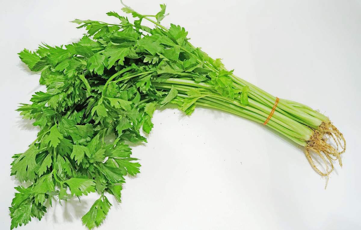 芹菜吃不完怎么保存(超市芹菜怎么保鲜)插图