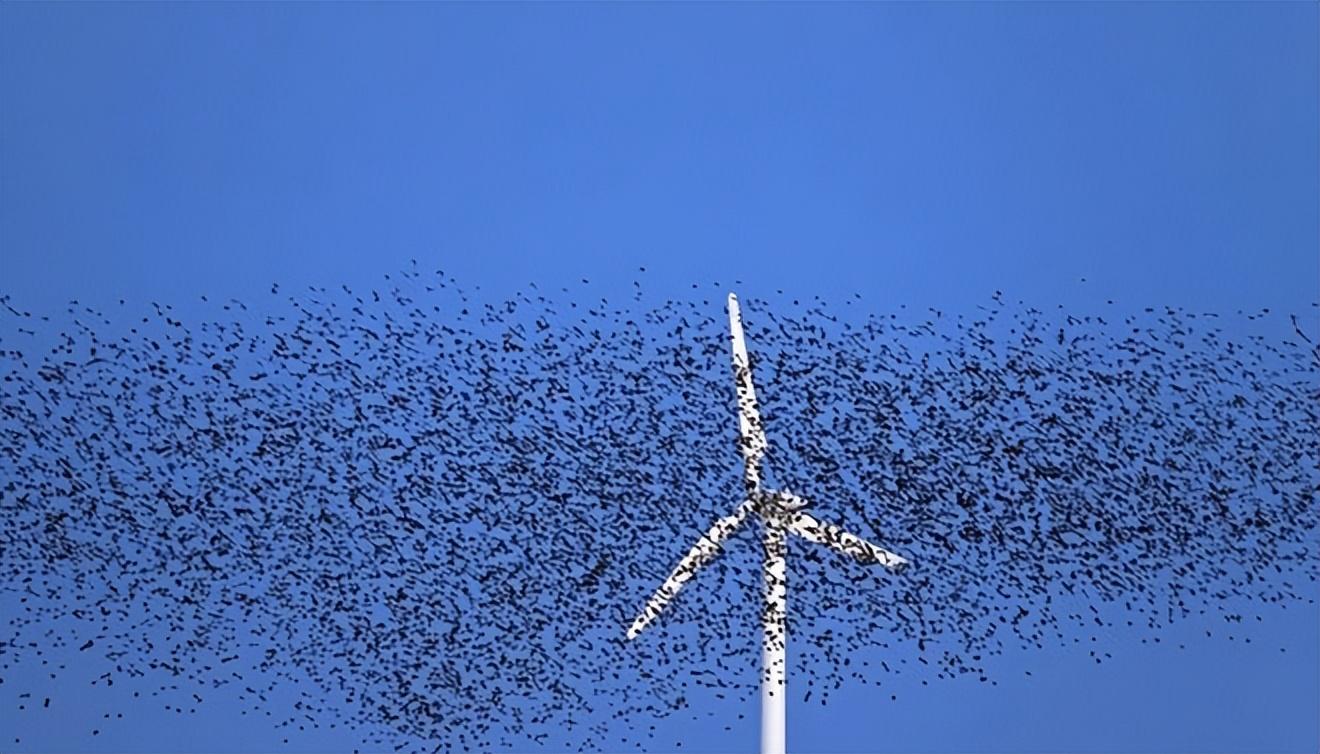风力发电为什么叫垃圾电(风力发电为什么要存电)插图5 风力发电为什么叫垃圾电(风力发电为什么要存电)插图5