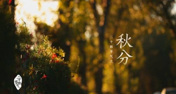 秋分是什么意思秋分的气候有哪些特点(秋分是什么意思及秋分养生习俗)插图4