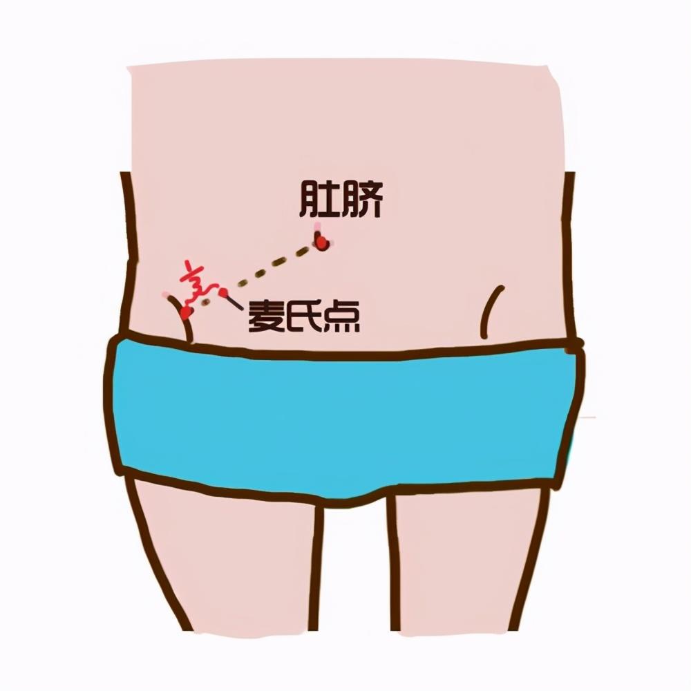 胃的位置在哪里(胃的位置在哪里图片大全)