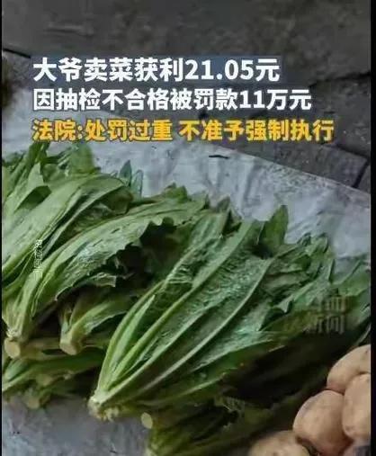 卖菜大爷被罚11万元是真的吗(卖菜大爷被罚款11.万)插图2