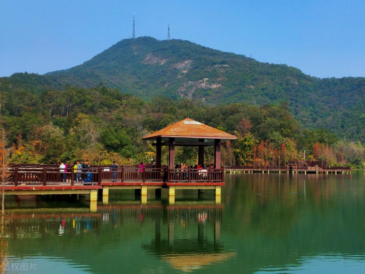 江门市是哪个省的城市(惠州江门哪个城市好)