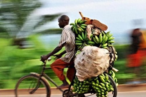 世界经济最穷国家排名前十(世界10大最穷国家排行榜)插图22