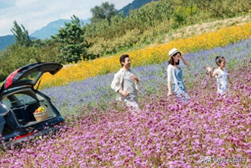 重庆周边一日游(重庆主城带小孩一日游)插图11 重庆周边一日游(重庆主城带小孩一日游)插图11