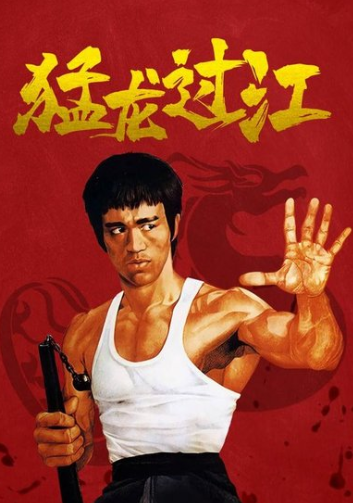 功夫电影十大排行榜(功夫电影十大排名)插图9