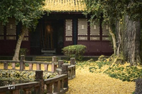 成都十大好玩地方排行榜(成都哪里最好玩最繁华)插图19