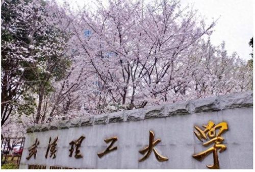 湖北各市高等教育排名前十(湖北市排名顺序)插图2