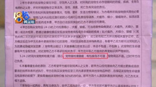 上城区天然猫粮排名前十(布偶猫专用猫粮排名)插图7