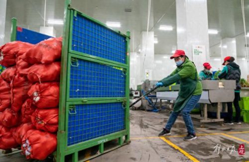 松江区蔬菜配送站排名前十(松江桶饭配送排名)插图1