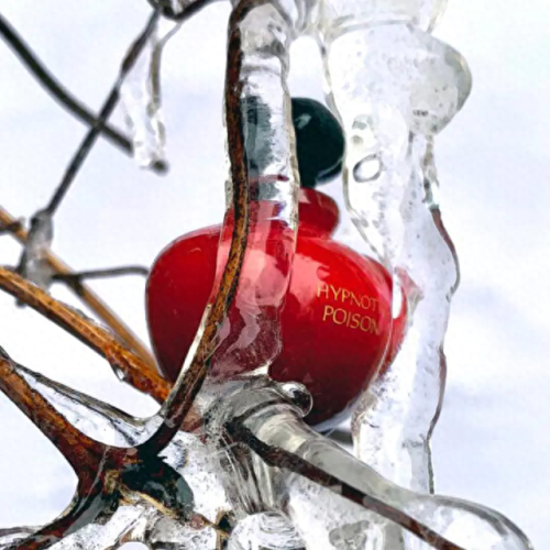迪奥真我系列(女士香水推荐哪款好闻)插图34 迪奥真我系列(女士香水推荐哪款好闻)插图34