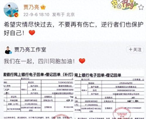 中国歌唱家捐款排名前十(中国女歌唱家一览表)插图5