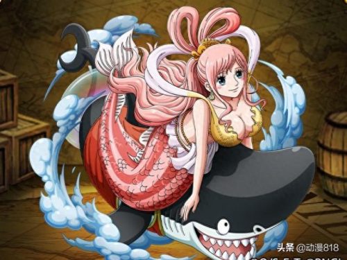 海贼王里的女人排名前十(海贼王最特殊的一个女人)插图7