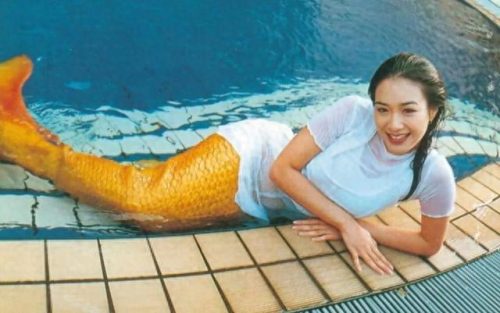 十大女王豪宅排行榜前十名(亚洲十大豪宅排名第一)插图13