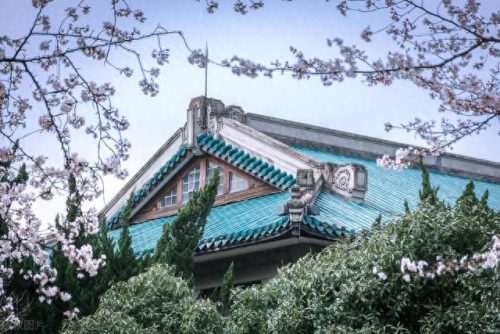 武汉市十大免费景点排行榜(武汉市内十大景点大全)插图10