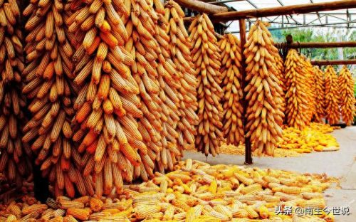 中国粮食进口港排名前十(香港的粮食主要从哪里进口)插图3