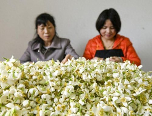 南宁的十大小吃排行榜视频(南宁十大油茶店排名)插图1