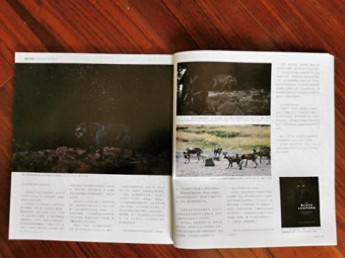 肯尼亚十大帅哥排行榜最新(肯尼亚旅游十大必去景点)
