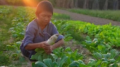 广西网红排名前十图片女(广西网红小阿六全部视频)插图11