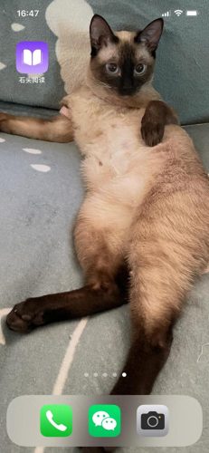 免费读小说软件哪个好用(十大免费看书app排行)插图 免费读小说软件哪个好用(十大免费看书app排行)插图