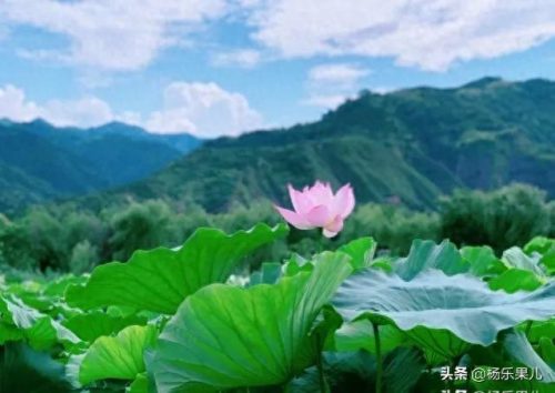 商洛市十大景区排行榜(淄博十大免费景区)插图22