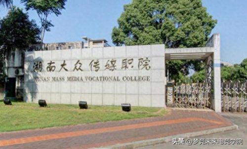 长沙电子竞技学校排名前十(长沙电子技工学校)插图1