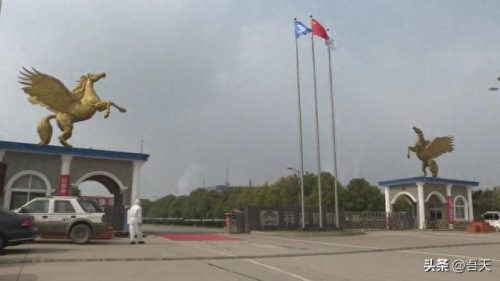 黄冈十大企业排行榜前十名(黄冈民营企业十强)插图8