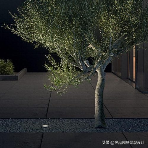 智慧庭院灯厂家排名前十(智慧灯一个多少钱)插图4