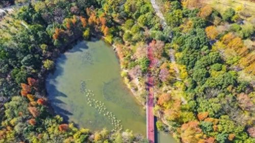 江苏露营十大圣地排行榜(江苏国庆露营路线推荐)插图5