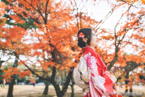 十大最贵的和服品牌排行榜(最贵的女士内衣的品牌)