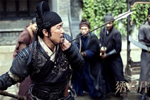 近十年十大武侠电影排行榜(历年十大武侠电影)插图10
