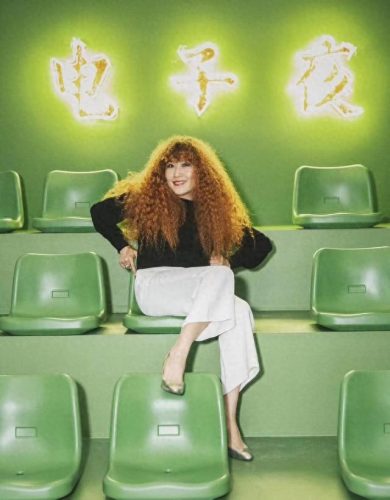 十大专业女歌手排行榜最新(网红歌手女名单)插图31