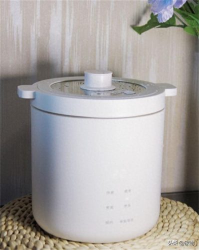 十大好用的做饭电器排行榜(德国十大电器品牌)插图9