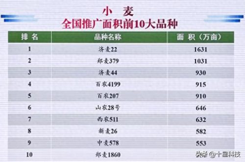 十大种业排行榜前十名(河北十大种业公司)插图1