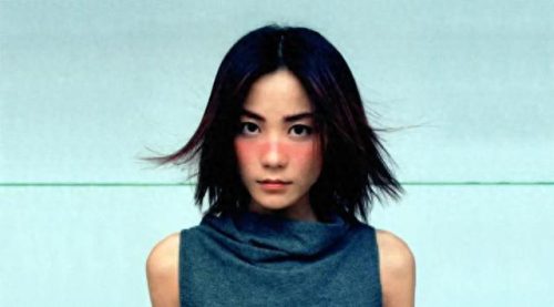 网上最火的十大歌星排行榜(八十年代国内十大歌星)插图5