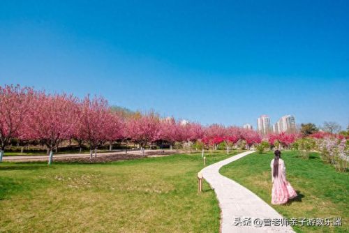 西安十大不坑景点排行榜(西安必打卡十大网红)