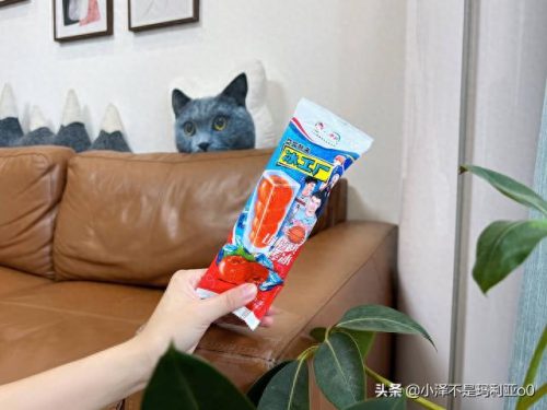 十大高价雪糕排行榜实体店(十大宝藏雪糕盘点)插图18 十大高价雪糕排行榜实体店(十大宝藏雪糕盘点)插图18