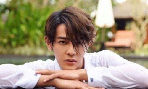 过去十大明星排行榜图片(十大明星离婚名单)插图15