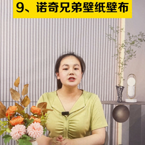 壁布十大高端品牌排行榜(壁布十大名牌排名有哪些)插图