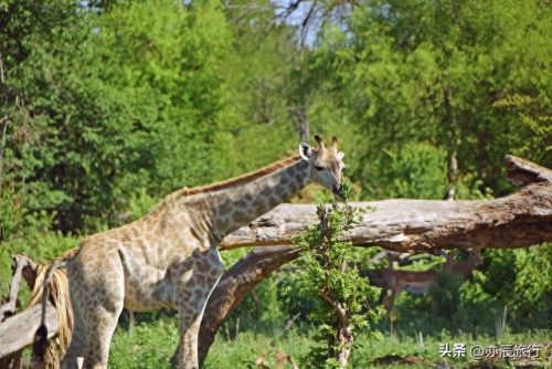 山东城市户外排名前十(山东省沙滩排名)插图25 山东城市户外排名前十(山东省沙滩排名)插图25