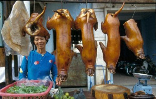 十大奇葩美食排行榜前十名(十大奇葩美食大全)插图12