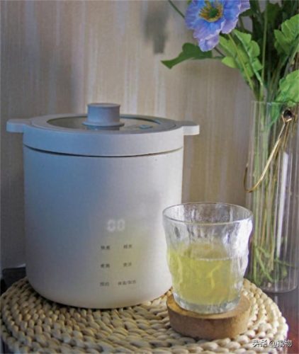 十大好用的做饭电器排行榜(德国十大电器品牌)插图12