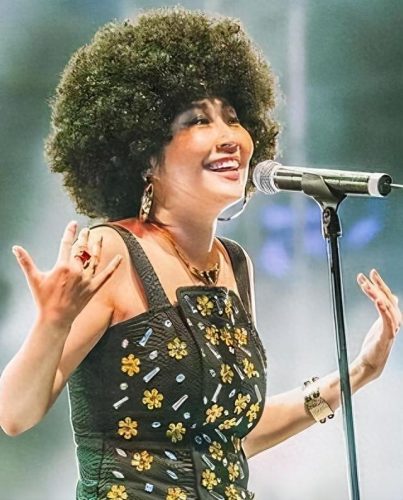 十大专业女歌手排行榜最新(网红歌手女名单)插图33