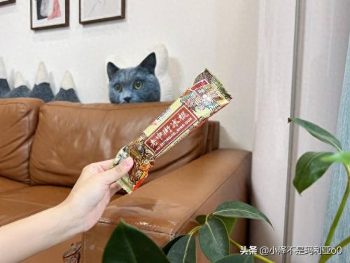 十大高价雪糕排行榜实体店(十大宝藏雪糕盘点)插图16 十大高价雪糕排行榜实体店(十大宝藏雪糕盘点)插图16