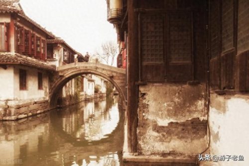 十大烟花歌曲排行榜(网红十大烟花音乐)插图10