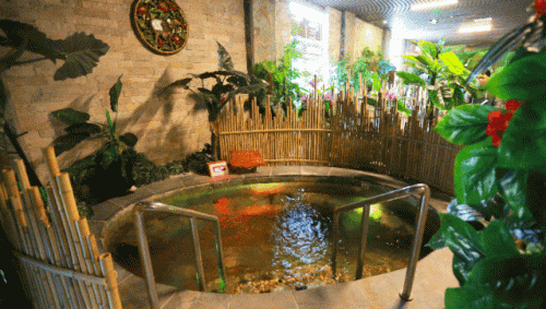 济南十大温泉排行榜前十名(济南泡温泉最好的地方)插图2 济南十大温泉排行榜前十名(济南泡温泉最好的地方)插图2