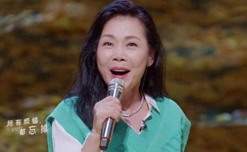 十大专业女歌手排行榜最新(网红歌手女名单)插图28