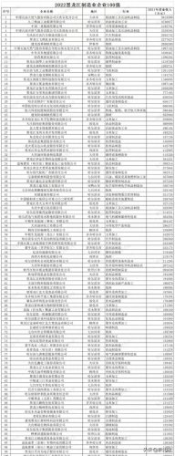 黑龙江分公司排名前十(黑龙江国有大企业排名)