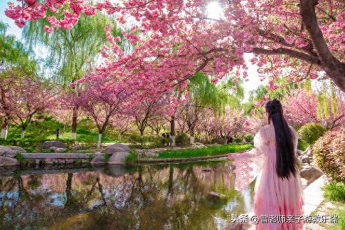 西安十大不坑景点排行榜(西安必打卡十大网红)插图74